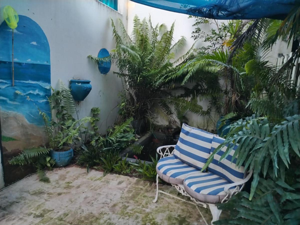Beach Wood Cottages 셸리비치 외부 사진
