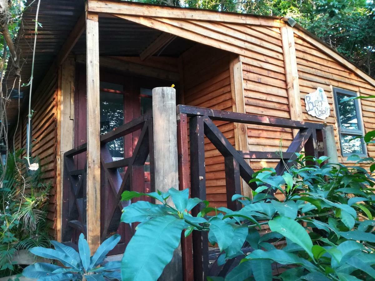 Beach Wood Cottages 셸리비치 외부 사진